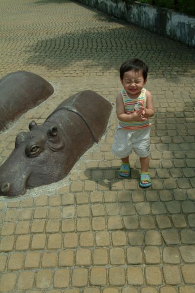 原來河馬才是賢賢的好朋友。20060901動物園