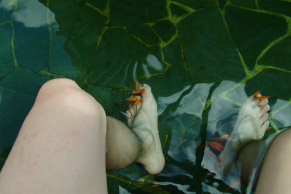 池裡的小魚會來咬腳腳。2007.09.26