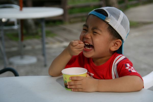 冰淇淋有那麼好吃嗎，大概是草莓口味比較好吃吧。動物園裡的冰淇淋兩球五十，還可以接受。2008.07.30