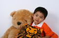 明賢因為太小，沒去看獅子王，但是他超愛這本獅子王的劇照書。2008.09.05