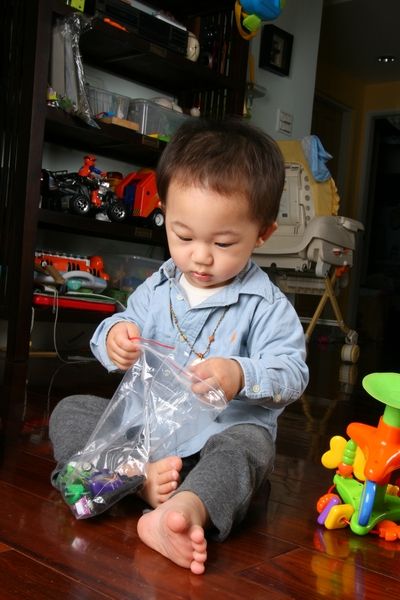 這小子從小就要跟哥哥分玩具，但是相對的他可以玩的東西比哥哥多很多。2009.02.15
