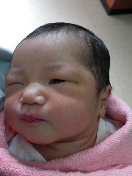 妹妹出生了。2009.03.02